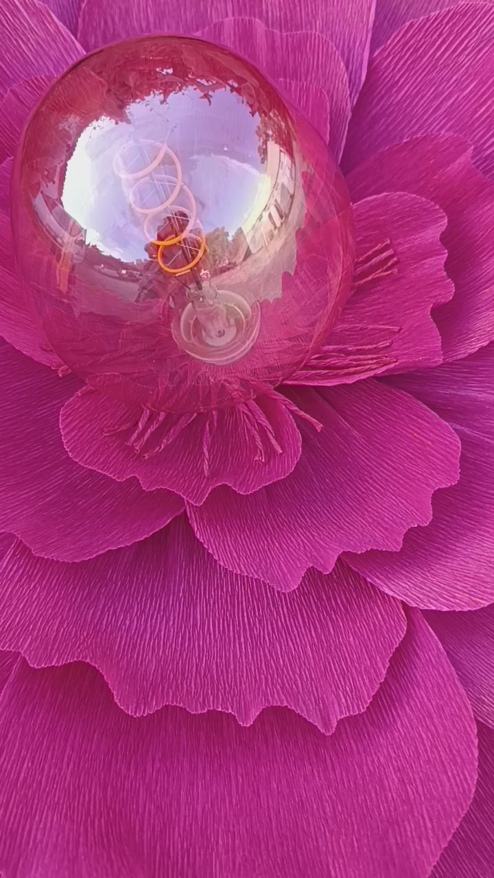 Fleurs rouge tirien au pétales irisé doré