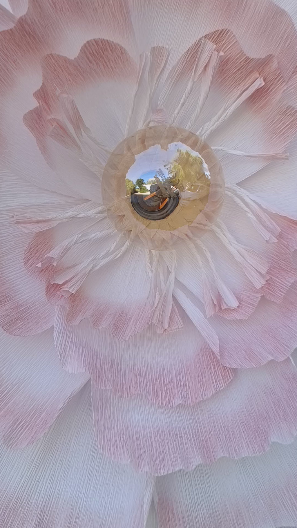 La fleur au dégradé rose