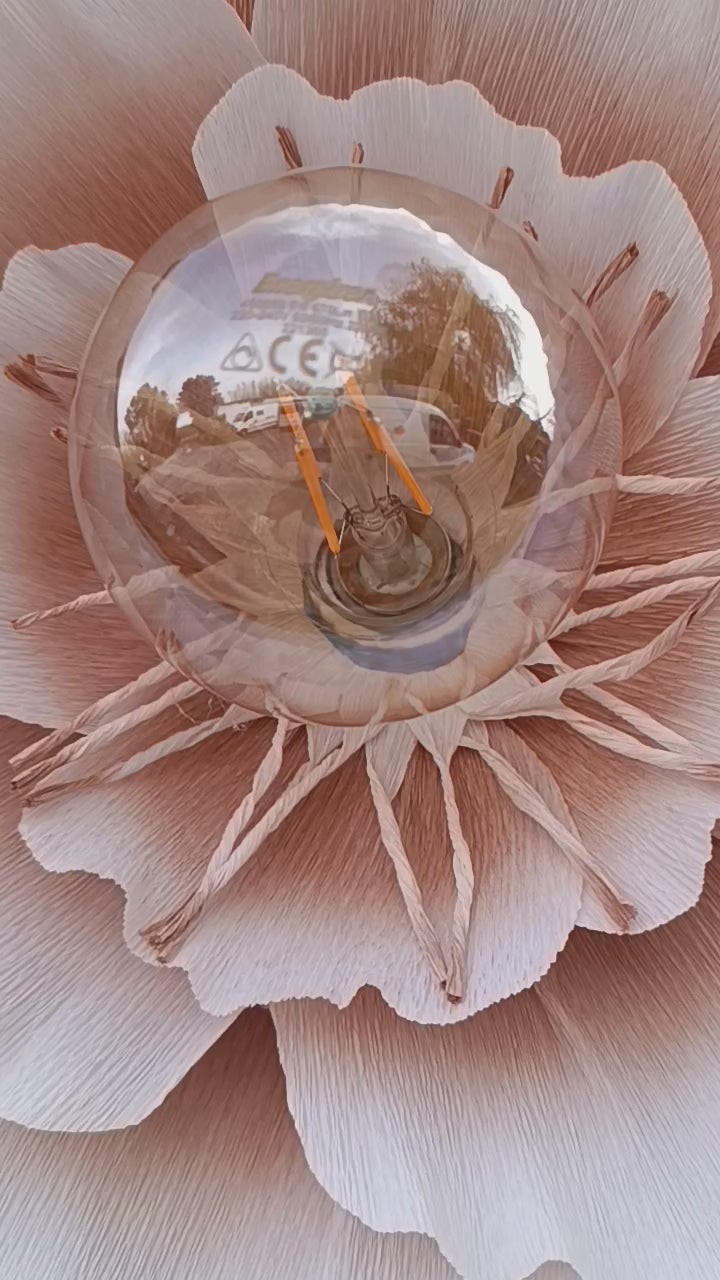 La fleur et sa profondeur