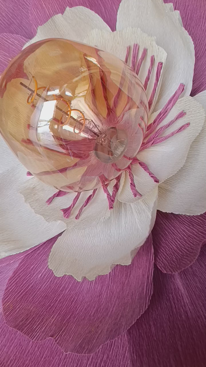 Rose terracotta au coeur ivoire