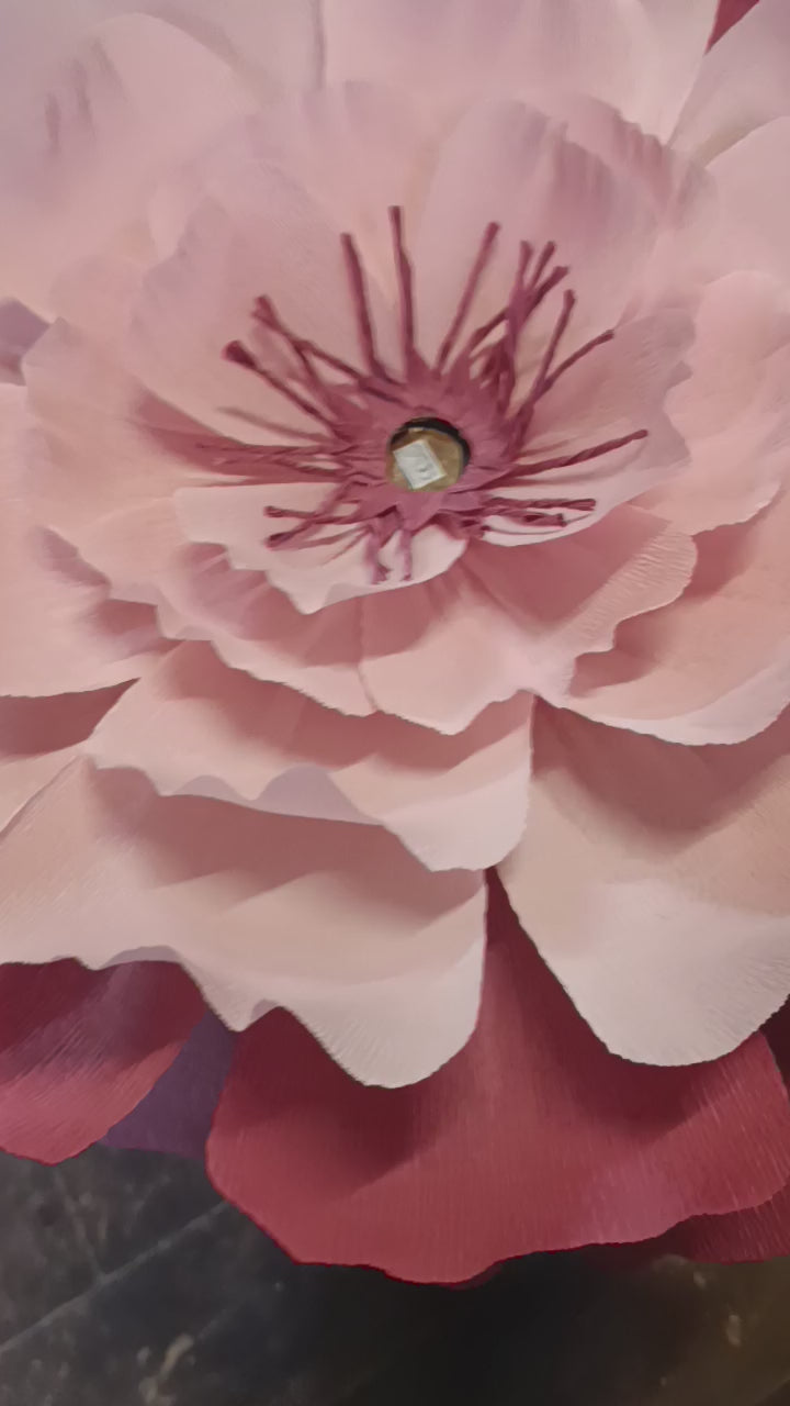 Les deux roses