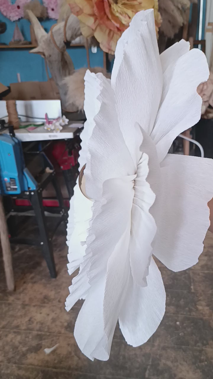 La fleur blanche