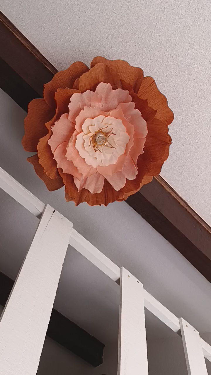 La fleur abricot