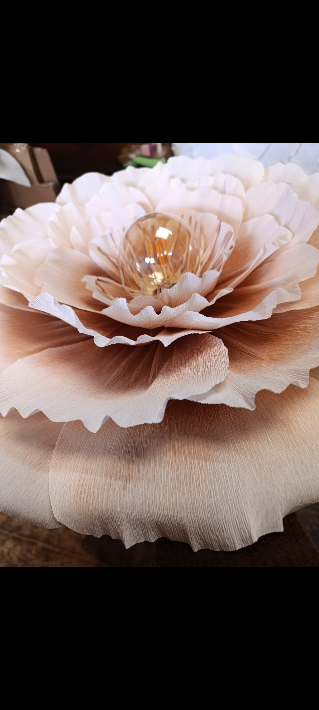 La fleur et sa profondeur