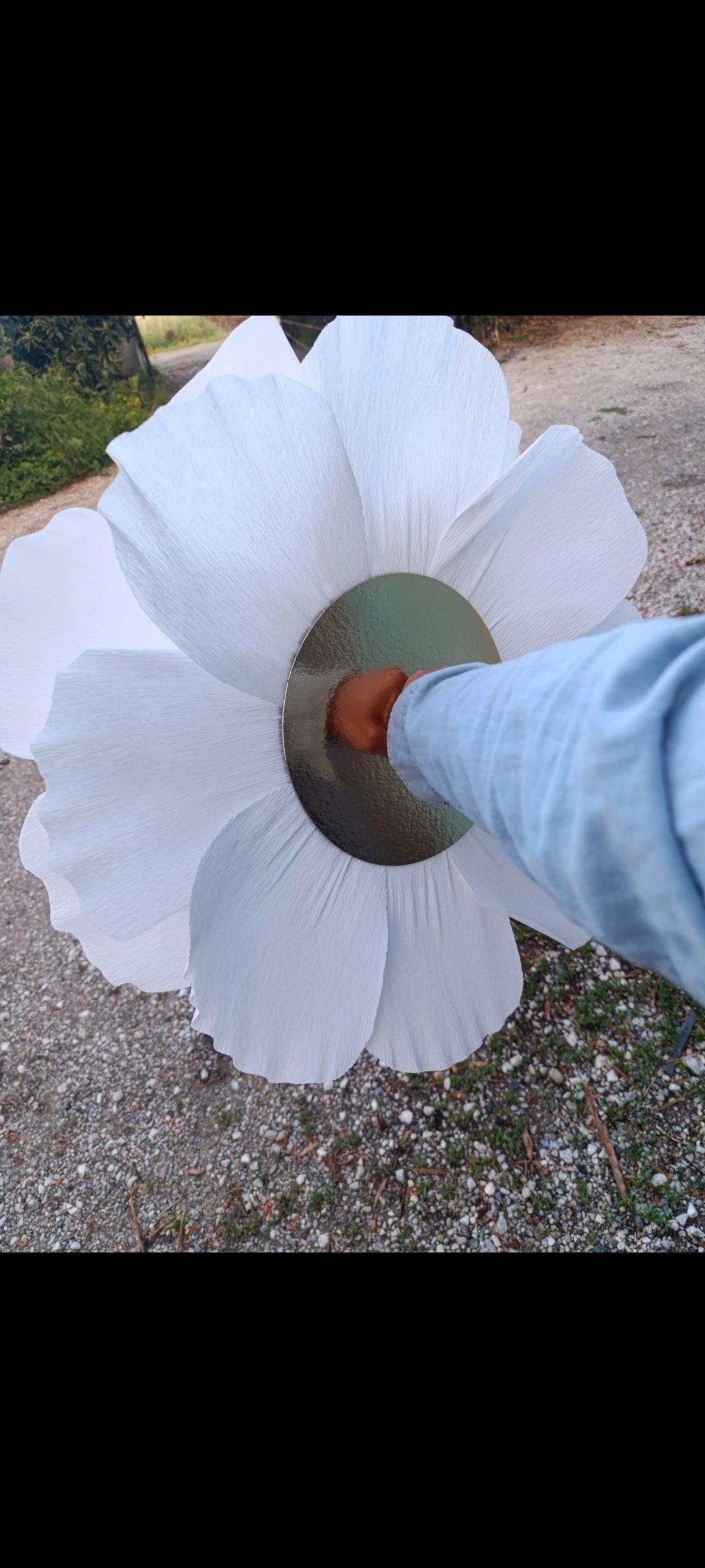La fleur blanche