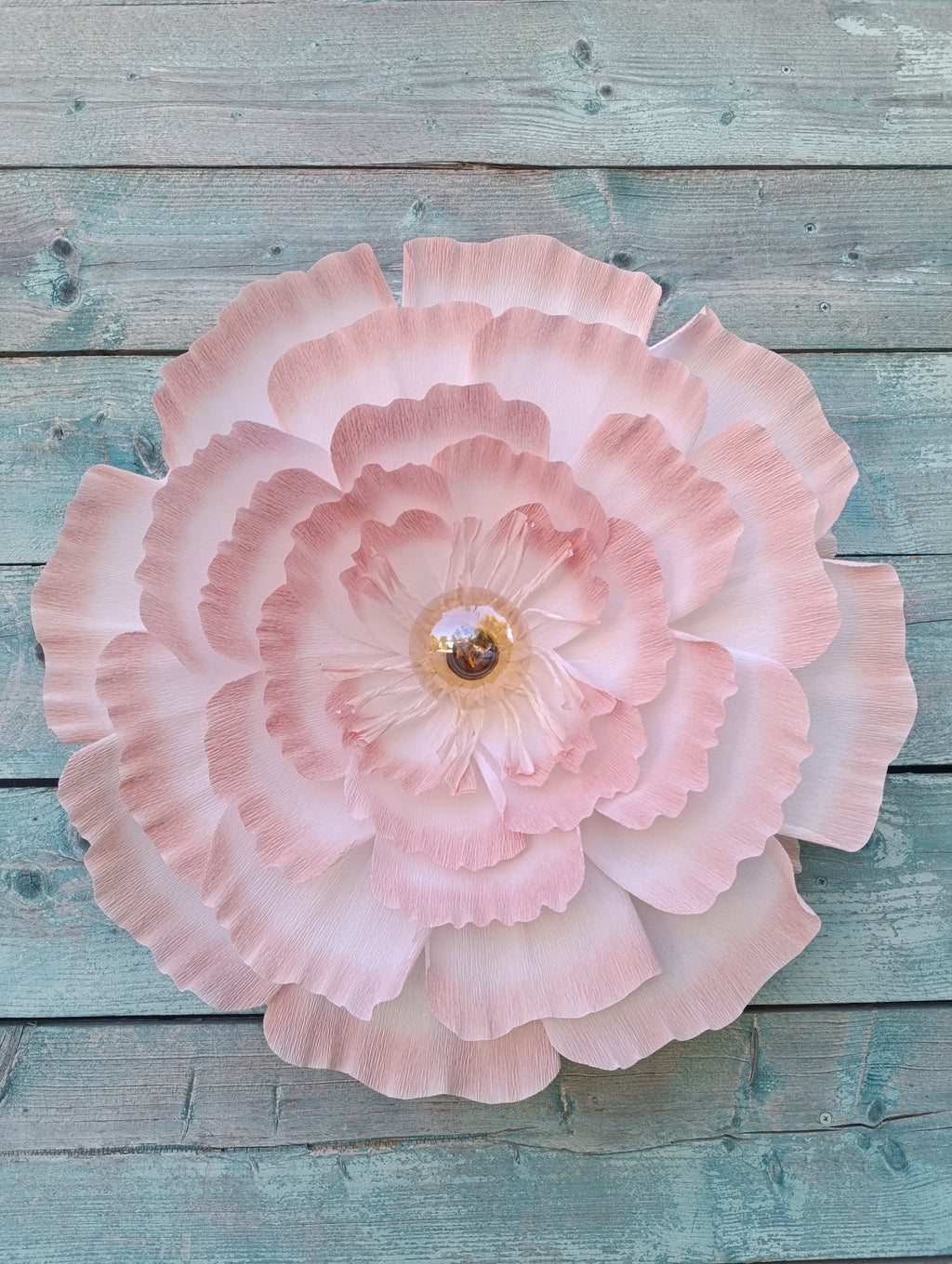 La fleur au dégradé rose