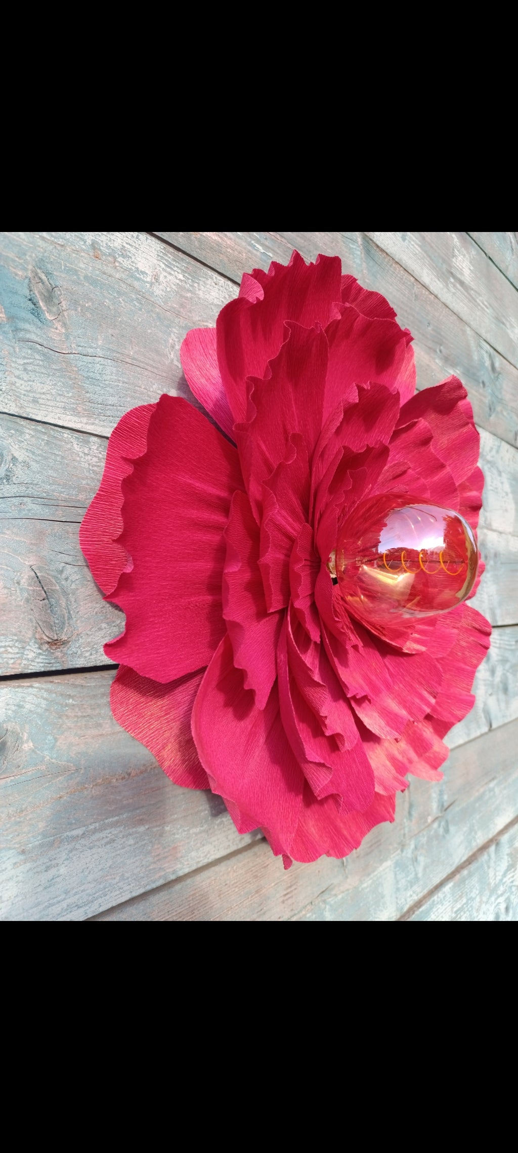 Fleurs rouge tirien au pétales irisé doré