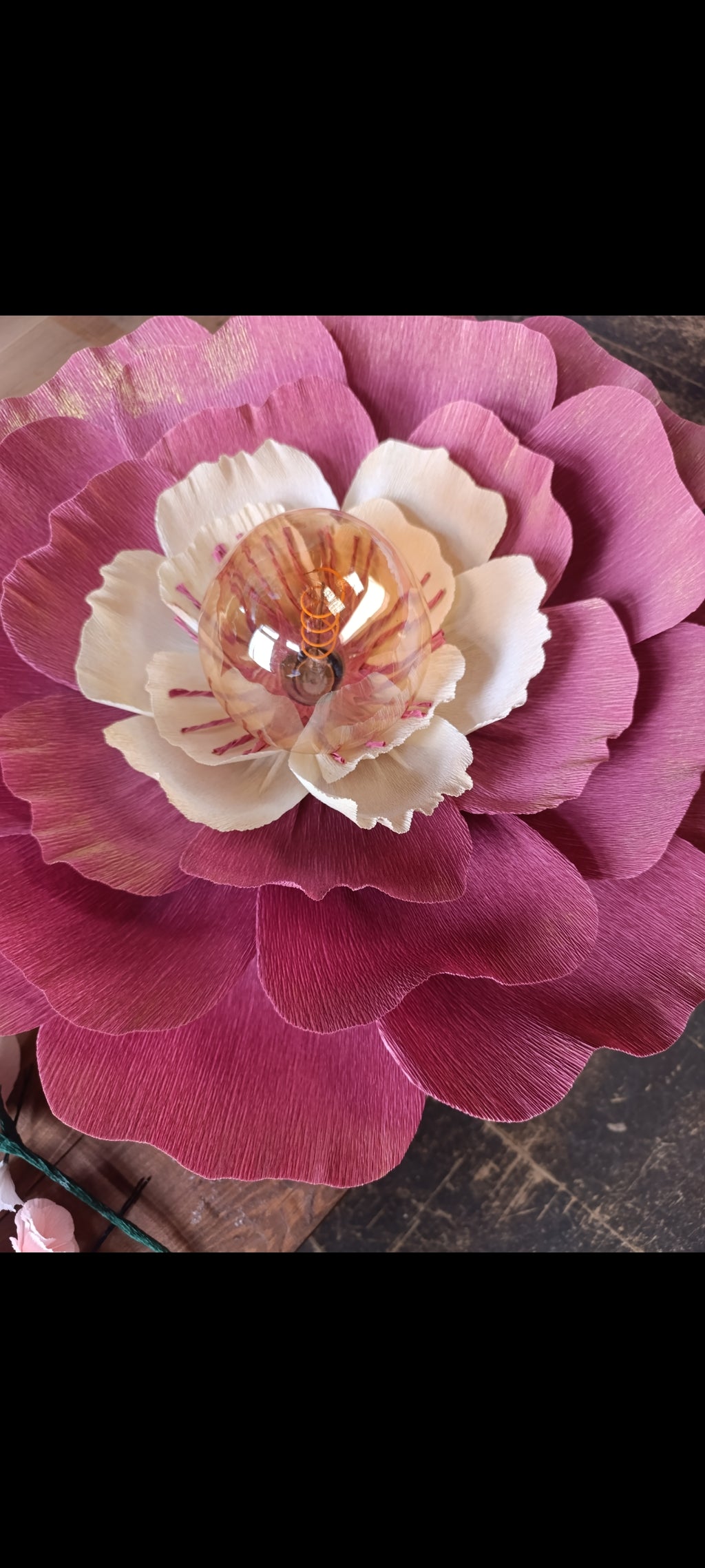 Rose terracotta au coeur ivoire