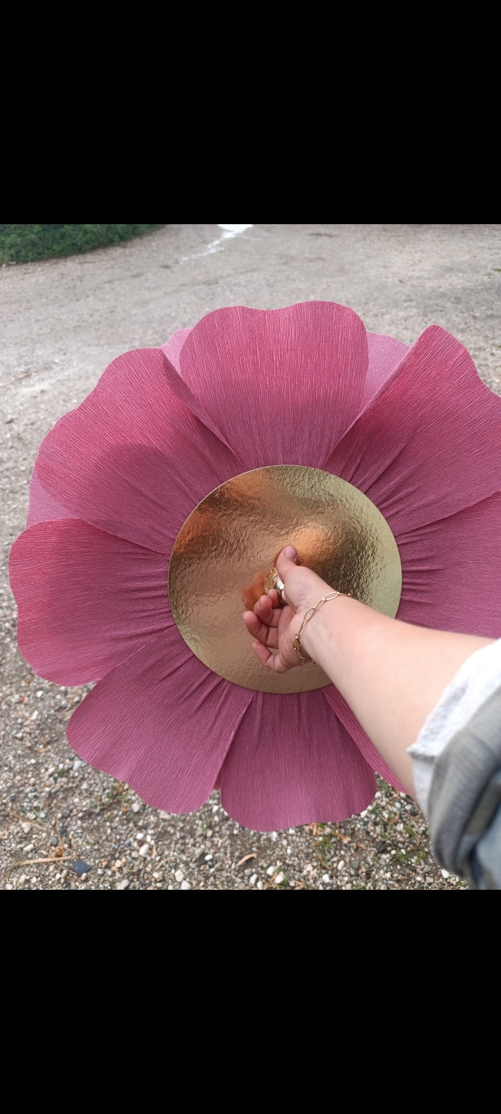 Rose terracotta au coeur ivoire