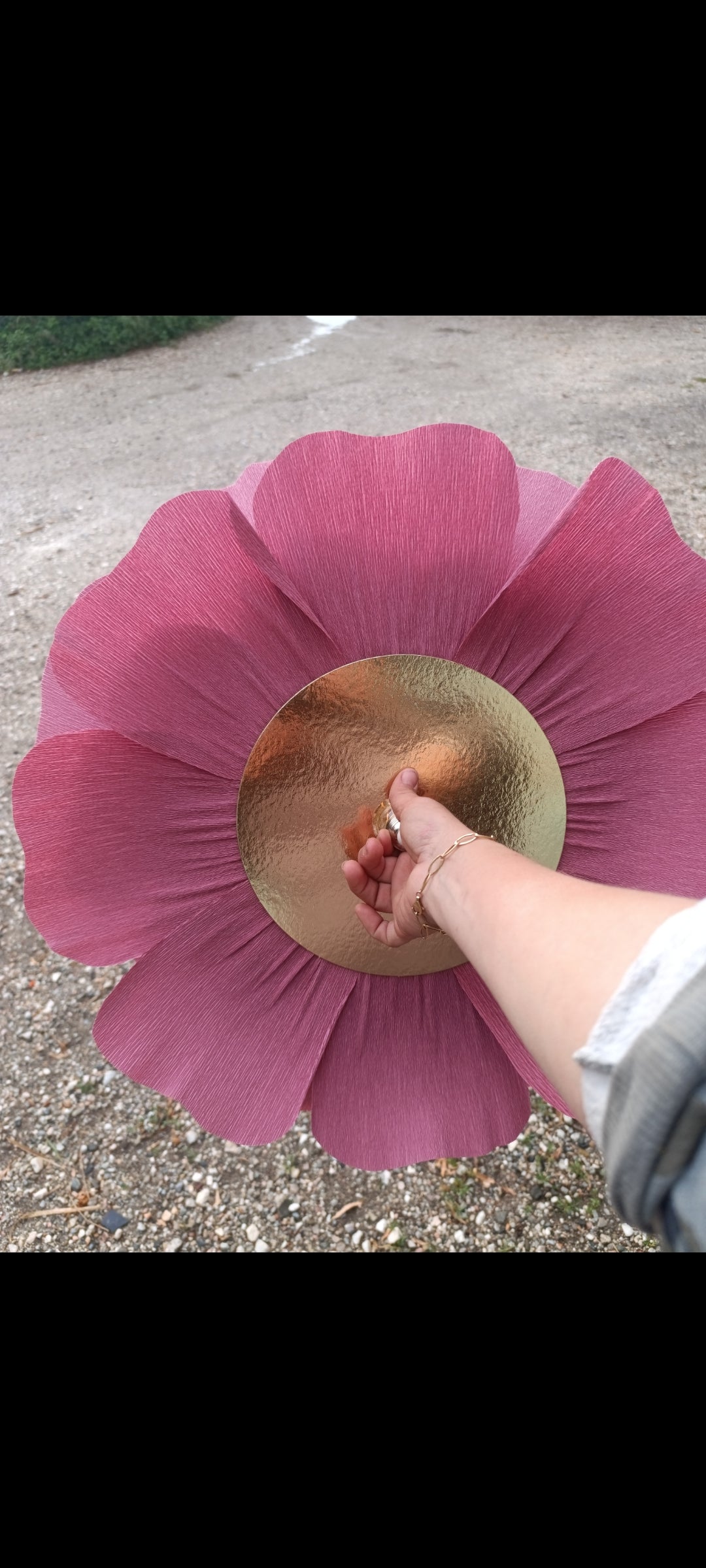 Rose terracotta au coeur ivoire