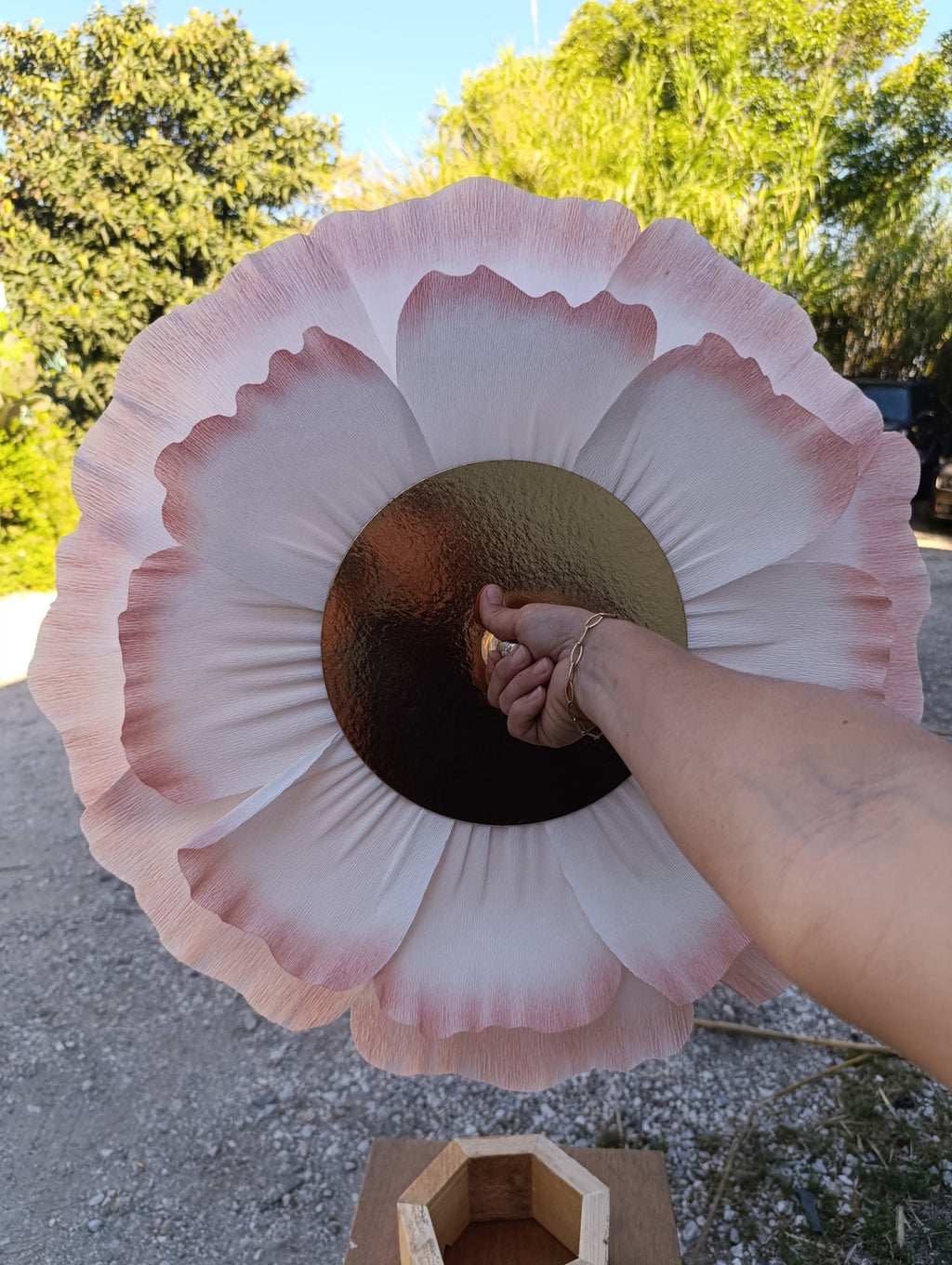 La fleur au dégradé rose