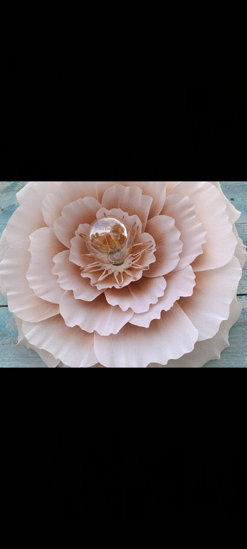Fleur douce