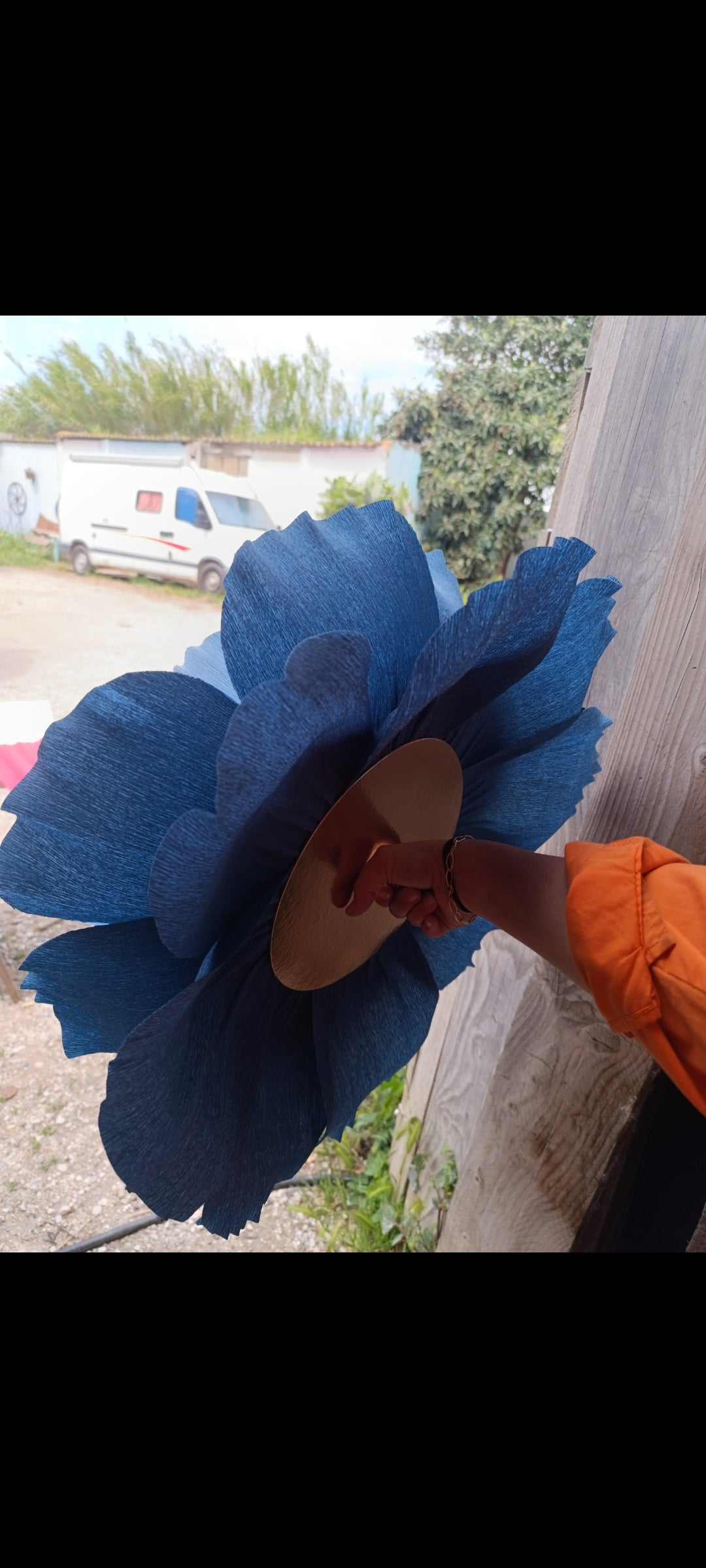 La fleur bleue