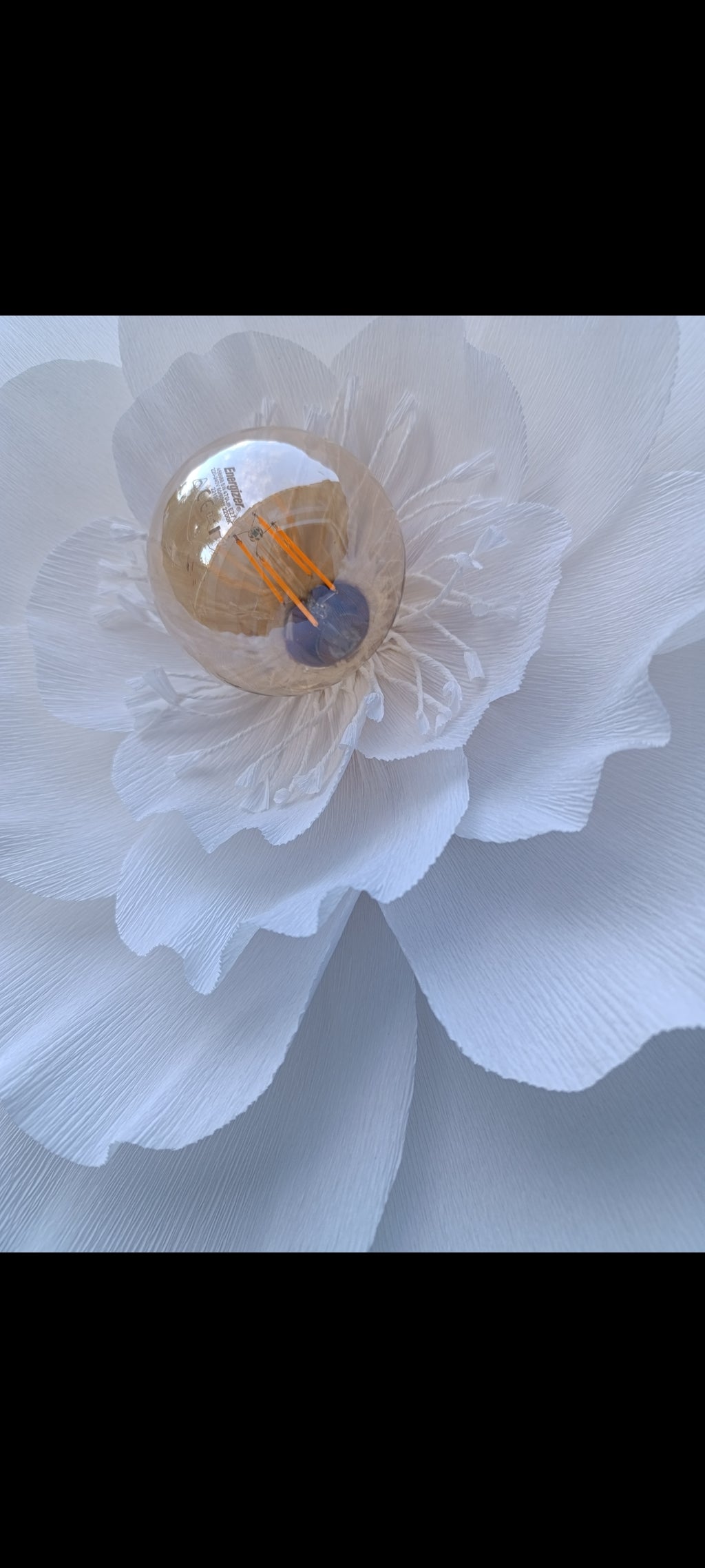 La fleur blanche