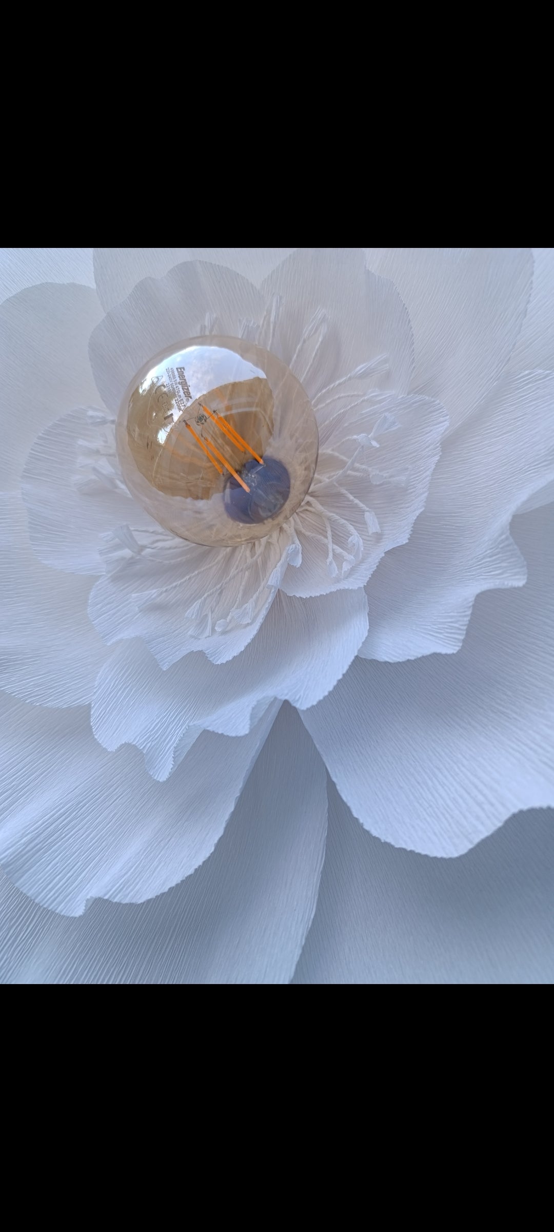 La fleur blanche