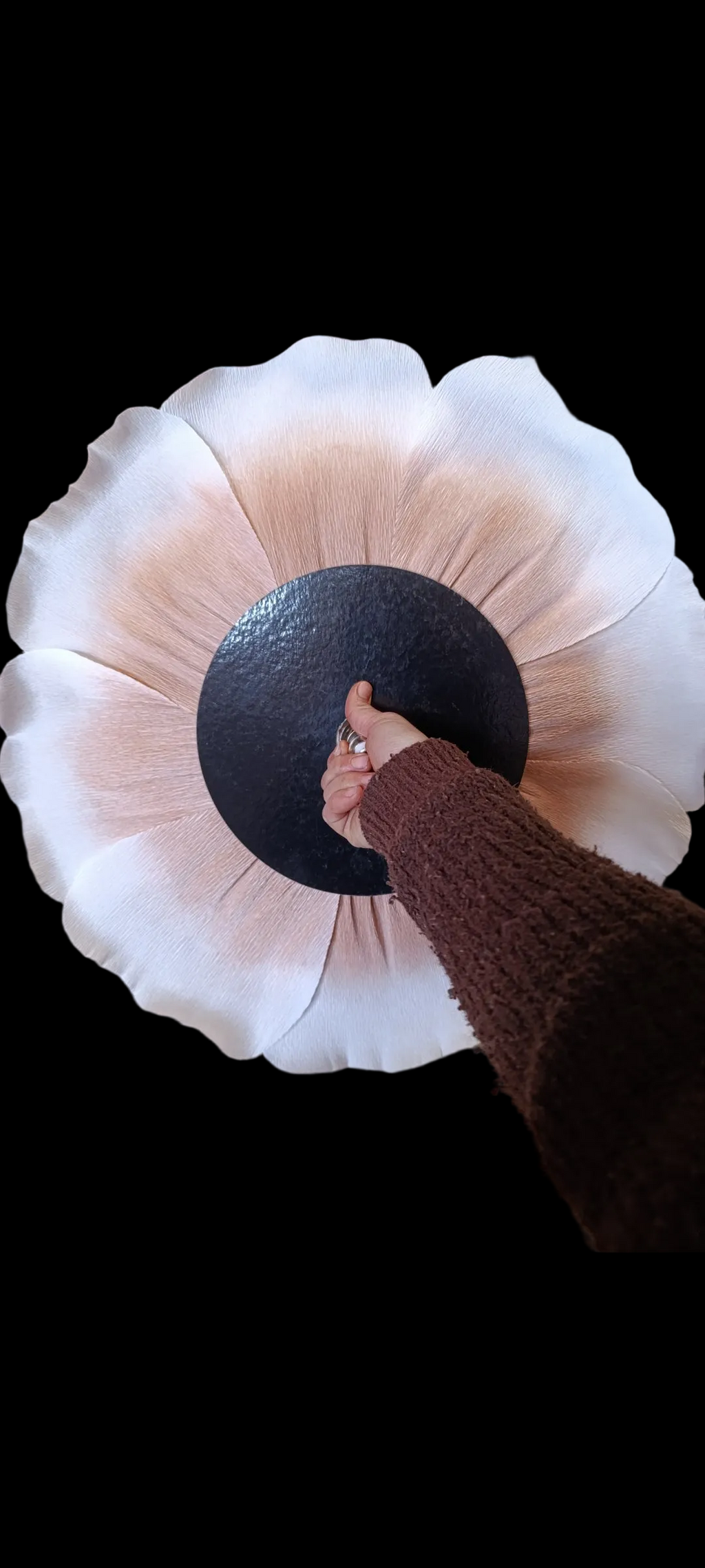 La fleur et sa profondeur