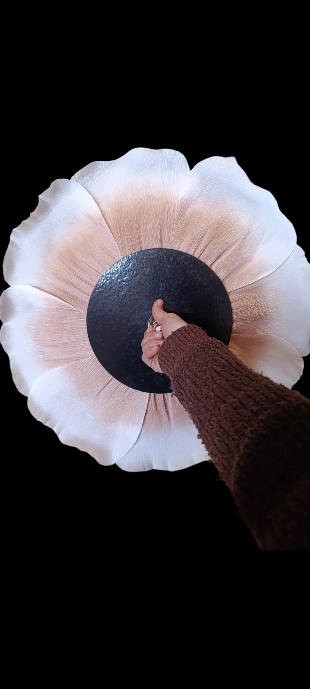 La fleur et sa profondeur