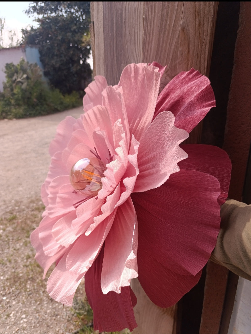 Les deux roses