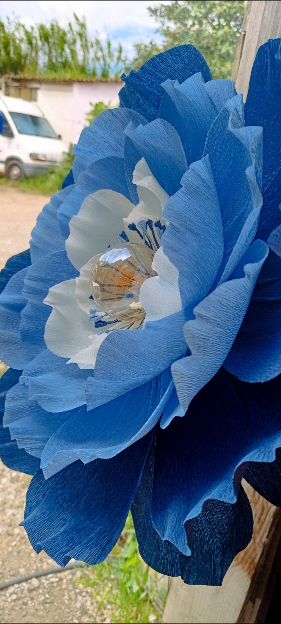 La fleur bleue