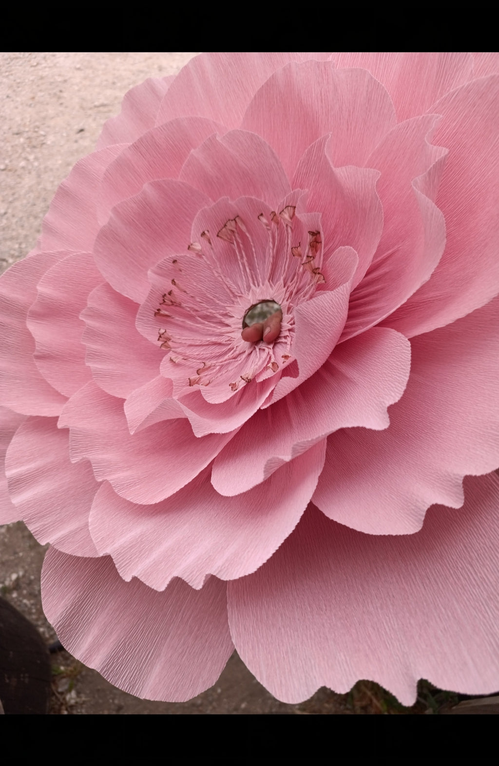 Suspension fleur rose