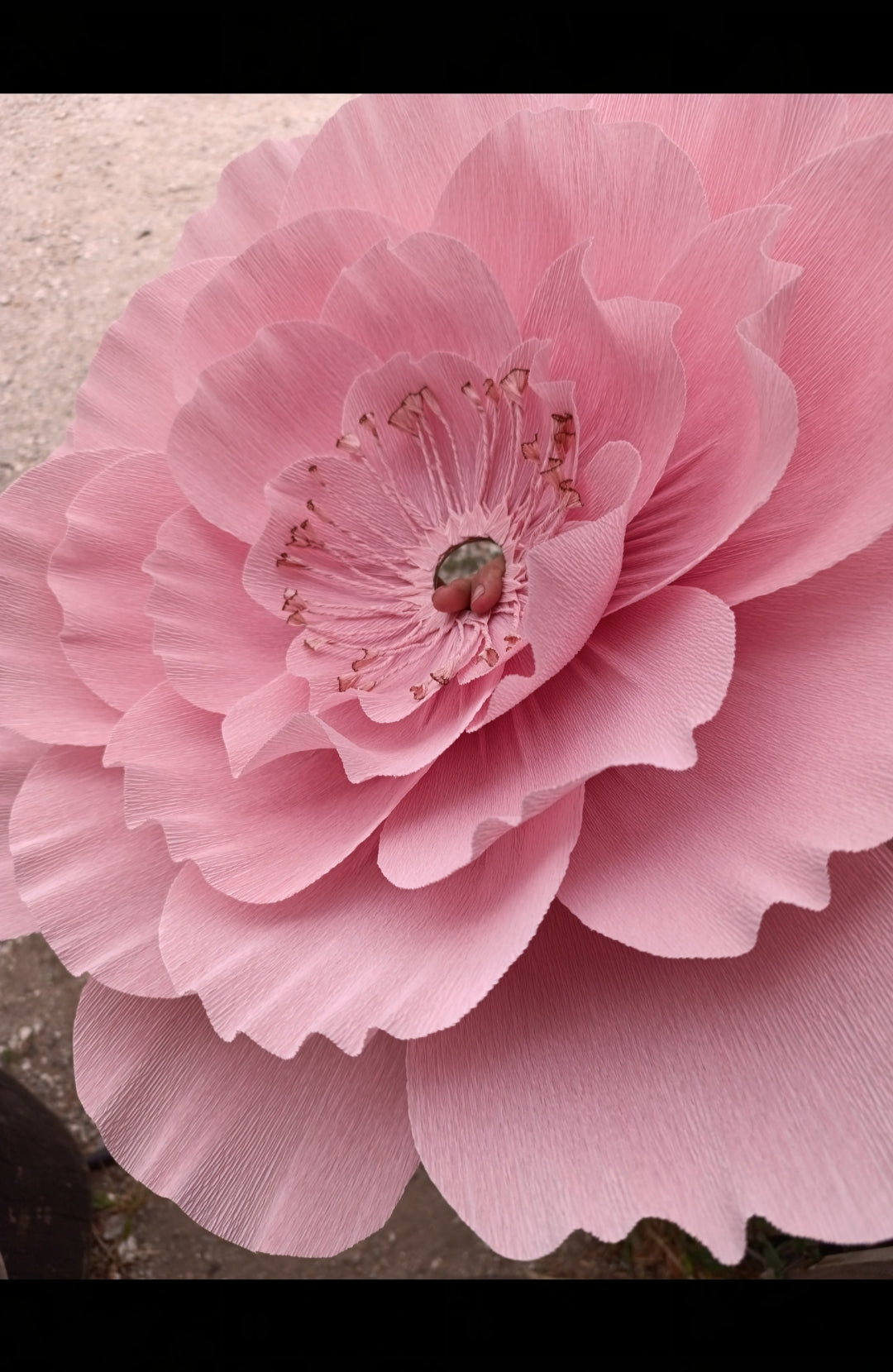 Suspension fleur rose