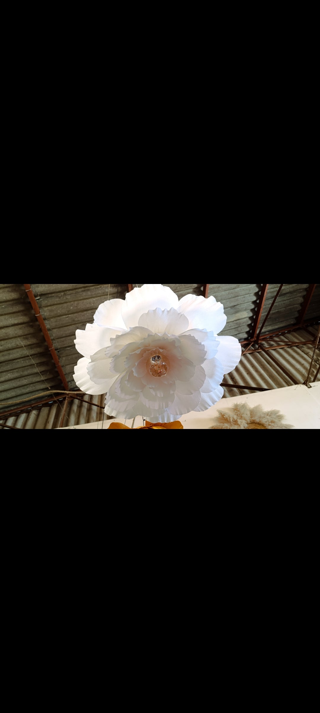 La fleur blanche