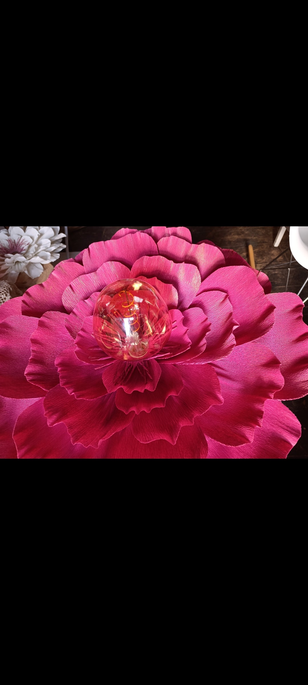 Fleurs rouge tirien au pétales irisé doré