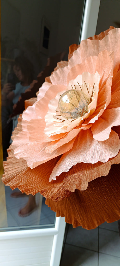 La fleur abricot