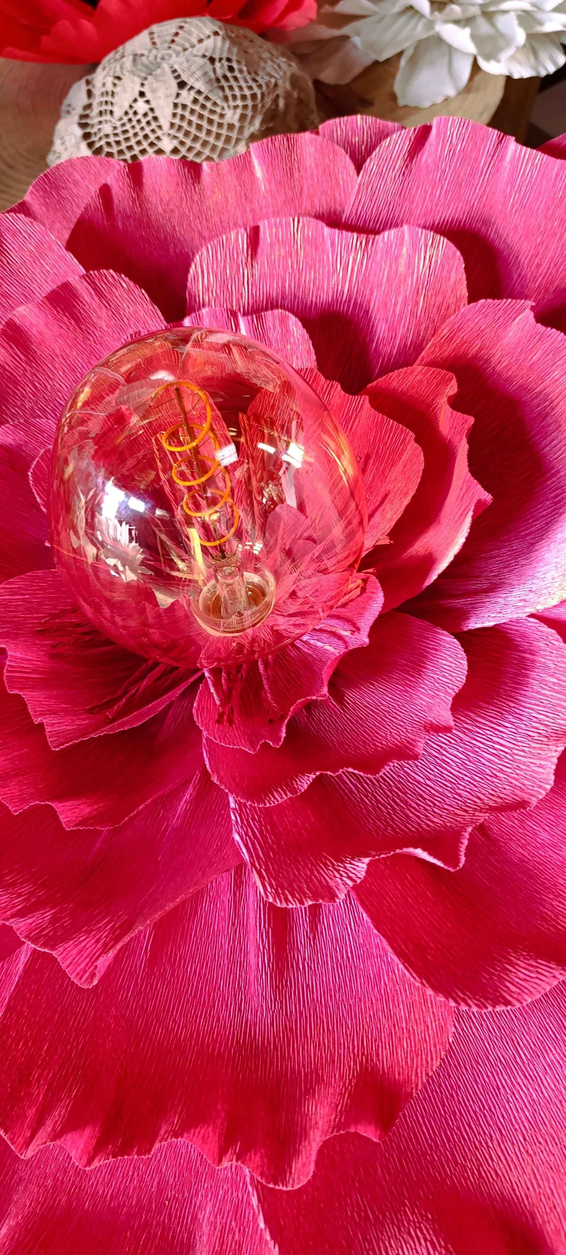 Fleurs rouge tirien au pétales irisé doré