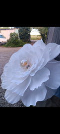 La fleur blanche