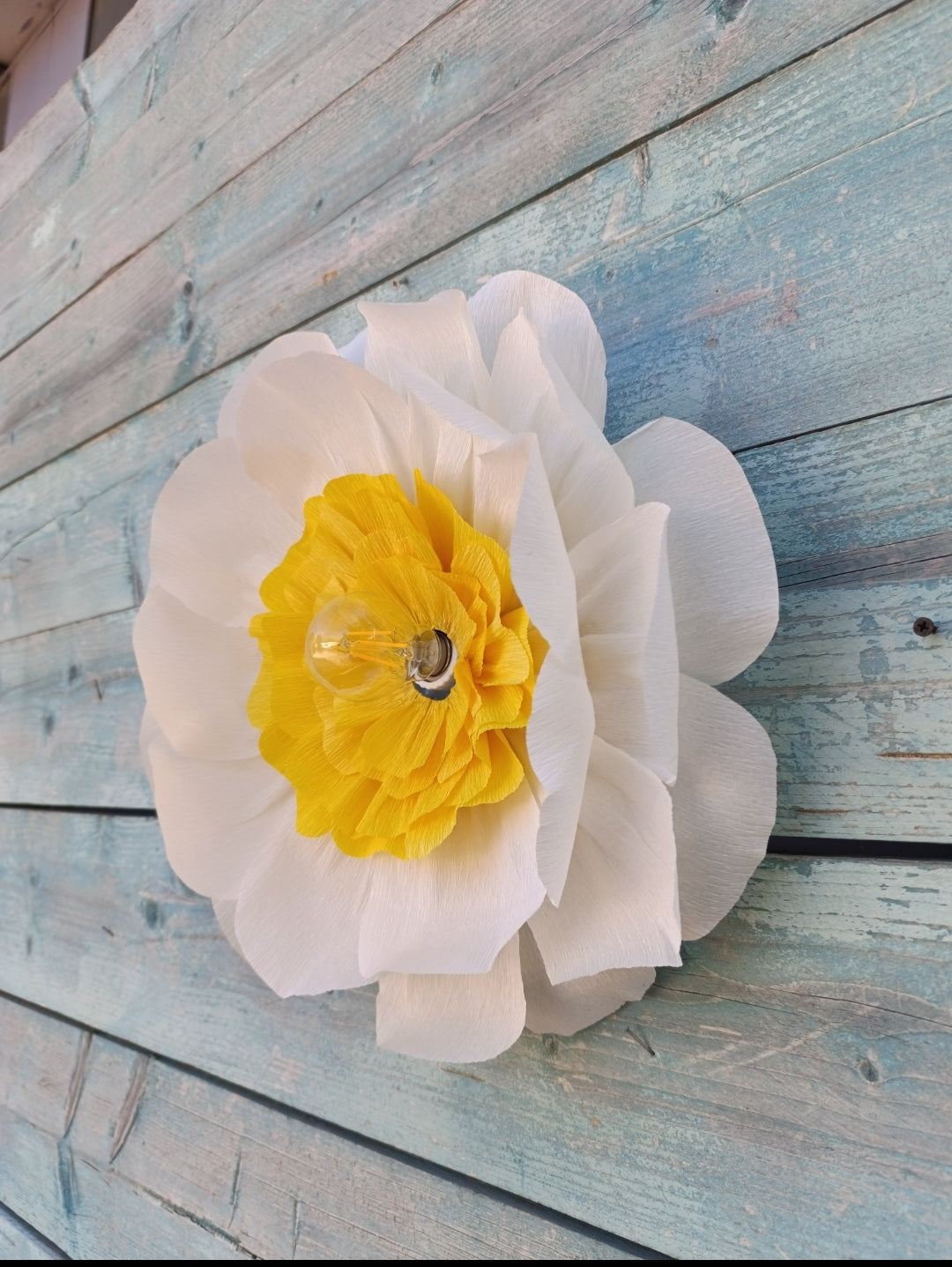 La marguerite