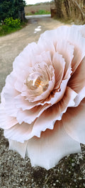 La fleur et sa profondeur