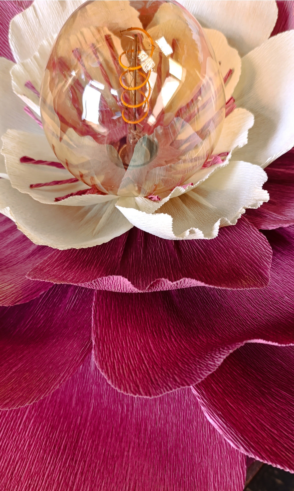 Rose terracotta au coeur ivoire
