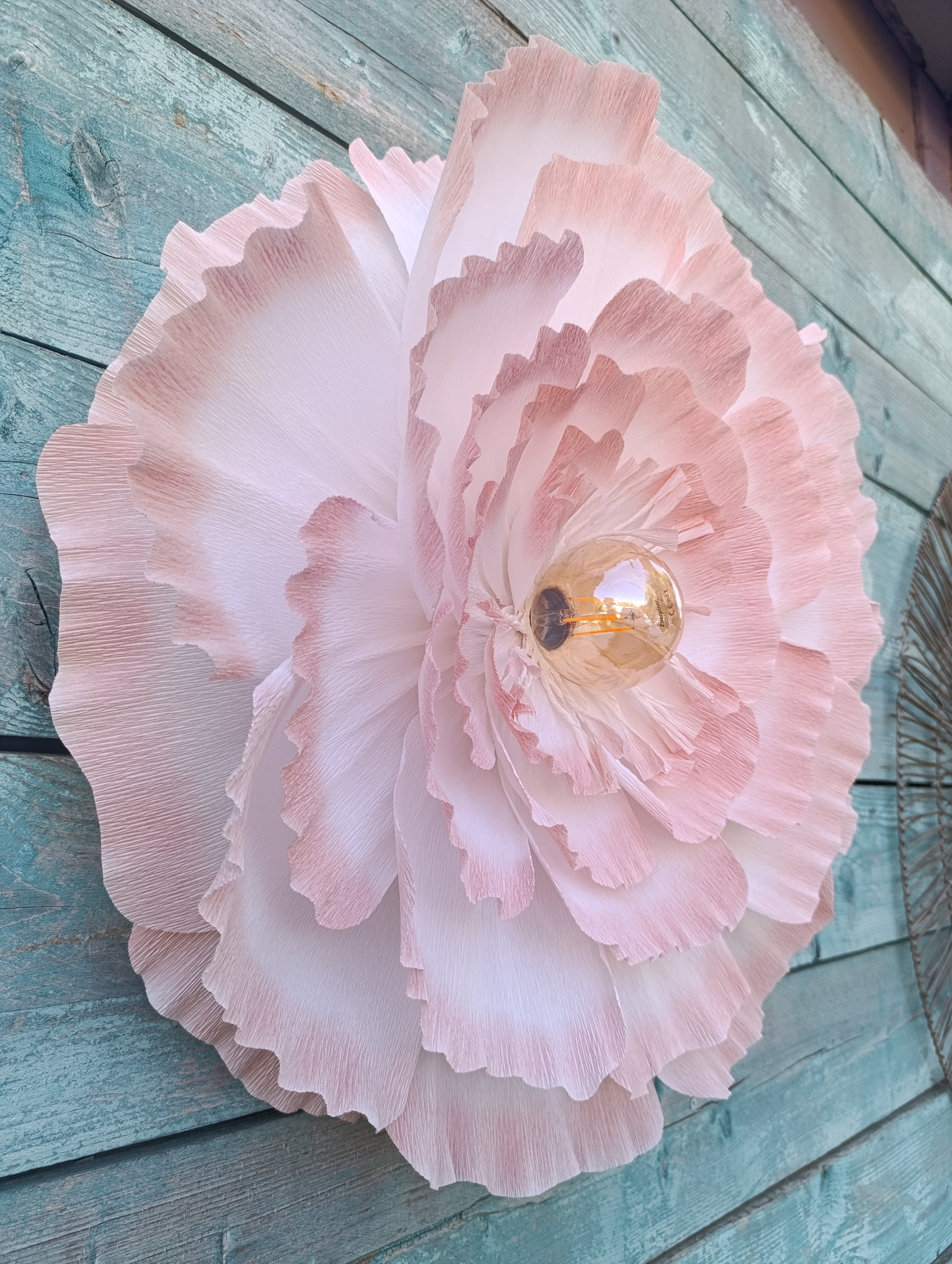 La fleur au dégradé rose