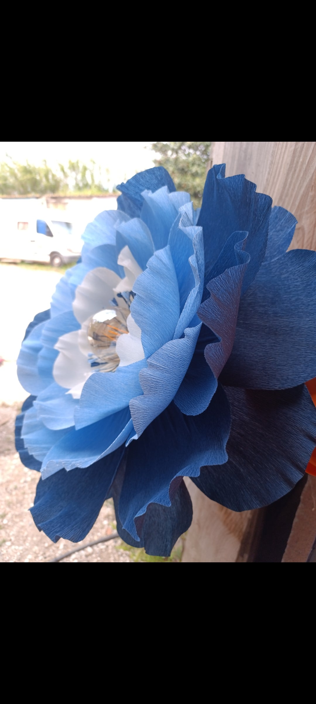 La fleur bleue