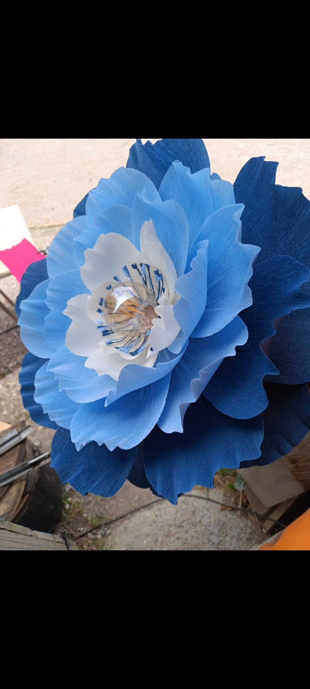 La fleur bleue